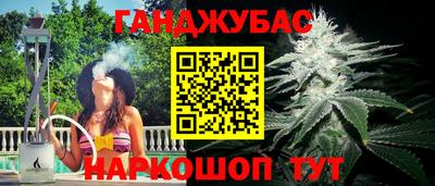 ALPHA PVP Камышлов