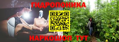 ALPHA PVP Камышлов