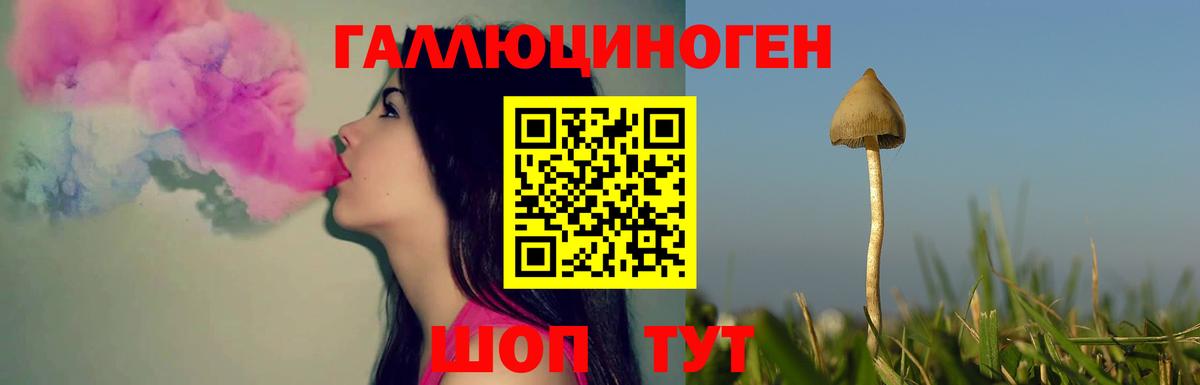 купить наркоту  Вход с VPN  Красноярск  Галлюциногенные грибы Cubensis 
